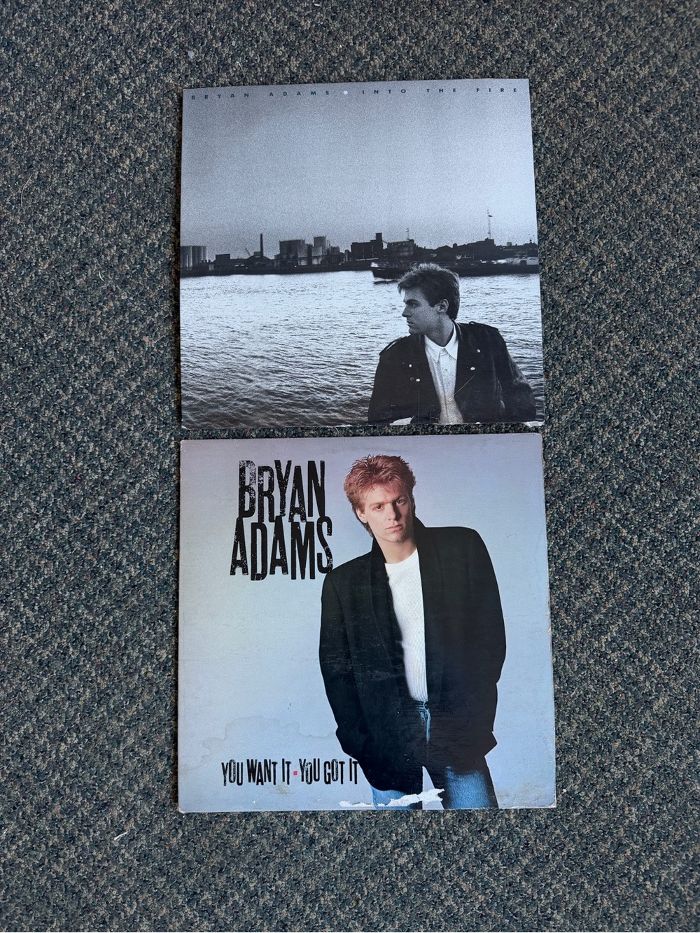 Bryan Adams Vintage Vinyl Records